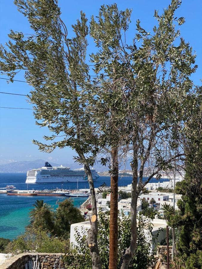 Rania Sea View 3* Mykonos Town