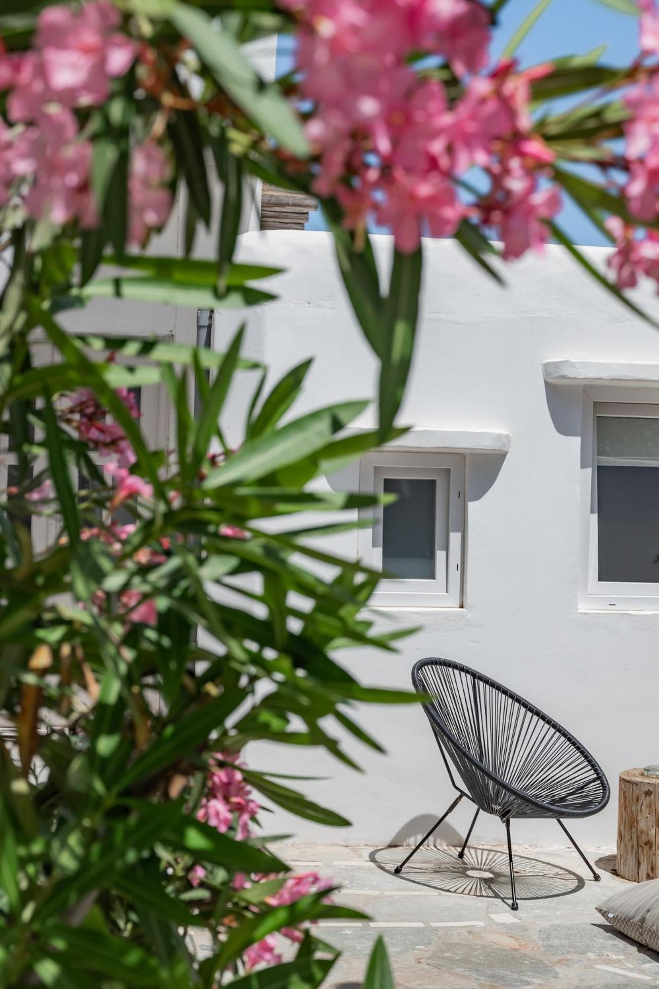 Rania Sea View Appart hôtel Mykonos Town