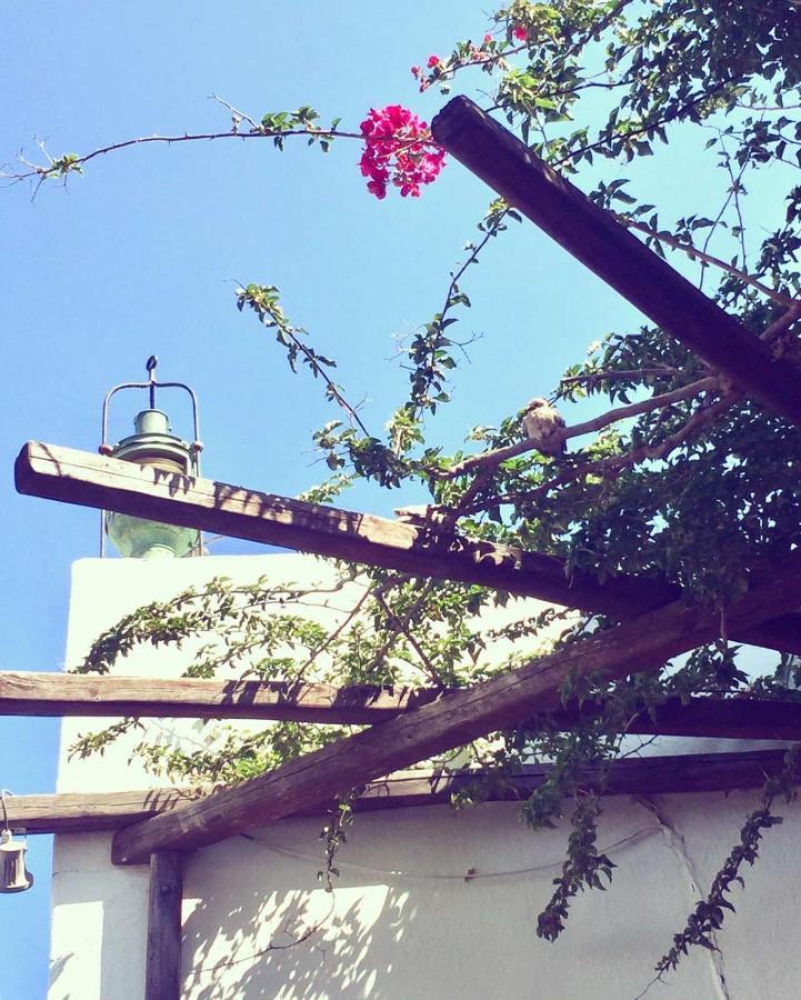 Appart hôtel Rania Sea View